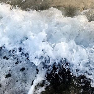 Meet your Posher, Remington